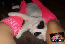 kTruiHy (#Boobs #Pussy #Amateur #Milf #Sexygirls #Butt #Sexybabes #Amateurs #Bigboobs #Hotgirls #Pthc #Pussyfuck #Girlass #Hotamateur #Smallpussy #Smallass #Tinypussy #Wilders #Rando) - 345 KB Tags: amateur, amateurs, bestpussy, bigboobs, bigtits, boobs, busty, butt, fuckyeah, girlass, girlsass, hotamateur, hotbabes, hotboobs, hotgirls, milf, pthc, pussy, pussyfuck, pussyfucked, rando, sexybabes, sexybutt, sexygirls, smallass, smallpussy, tinypussy, upskirt, wilders (Pict. in Rando-Wilders)