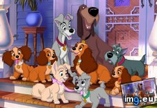 Tags: 24x768, cartoons, for, kids, lady, tramp2 (Pict. in Cartoon Wallpapers And Pics)