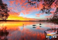 Tags: australia, doonella, heads, lake, noosa, queensland (Pict. in Beautiful photos and wallpapers)