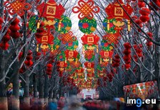 Tags: beijing, china, decorations, dit, lantern, park, superstock (Pict. in Best photos of February 2013)