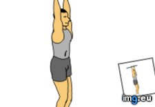 Tags: animated, leg, pike, raise (GIF in Core exercises animations)