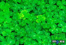 Tags: lots, luck (Pict. in Beautiful photos and wallpapers)
