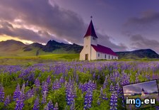 Tags: iceland, lupins, myrdal, sunset, vik (Pict. in Beautiful photos and wallpapers)