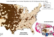 Tags: cattle, contiguous, counties, people (Pict. in My r/MAPS favs)