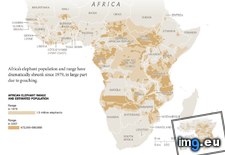Tags: african, decimated, elephants, nations, range, unstable (Pict. in My r/MAPS favs)