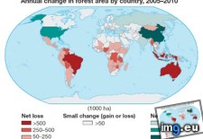 Tags: annual, area, change, country, forest (Pict. in My r/MAPS favs)
