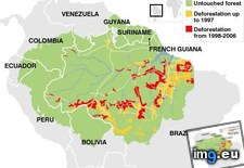 Tags: amazon, deforestation (Pict. in My r/MAPS favs)