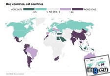 Tags: 680x488, cat, countries, dog (Pict. in My r/MAPS favs)