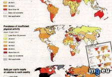 Tags: epidemic, global, obesity (Pict. in My r/MAPS favs)