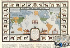 Tags: breeds, countries, foundation, horse, horses, including, map, origin, world (Pict. in My r/MAPS favs)