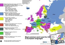 Tags: 960x625, cock, common, european, languages, word (Pict. in My r/MAPS favs)