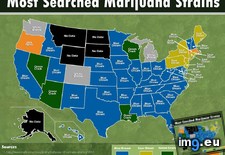 Tags: marijuana, searched, states, united (Pict. in My r/MAPS favs)