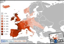 Tags: celtic, characteristic, considered, dna, european, italo, patrilineal, peoples, percentage, population (Pict. in My r/MAPS favs)