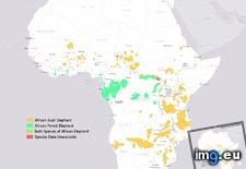 Tags: african, elephant, range, semi (Pict. in My r/MAPS favs)