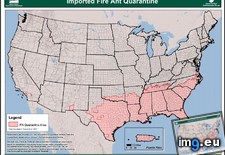 Tags: 871x675, ants, fire, imported, invicta, map, quarantine, red, showing, states, united, usda, zones (Pict. in My r/MAPS favs)