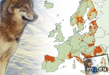 Tags: population, wolf (Pict. in My r/MAPS favs)