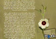 Tags: image (Pict. in Wadie 0)