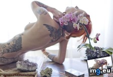 medusa-hireath-39 (#Porn #Tits #Hot #Emo #Tatoo #Hireath #Medusa) - 80 KB Tags: emo, hireath, hot, medusa, nature, porn, sexy, softcore, tatoo, tits (Pict. in SuicideGirlsNow)