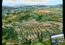 Tags: fields, messina, terraced (Pict. in Branson DeCou Stock Images)
