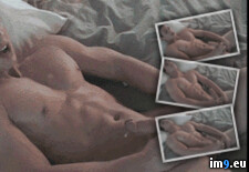 Tags:  (GIF in Newpyas)