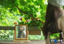 mikaul-thecabinlog12 (#Porn #Tits #Hot #Suicidegirls #Tatoo #Mikaul #Thecabinlog) - 84 KB Tags: boobs, hot, mikaul, porn, sexy, softcore, suicidegirls, tatoo, thecabinlog, tits (Pict. in SuicideGirlsNow)