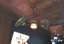 Tags: fan, fans (Pict. in My r/MILDLYINTERESTING favs)