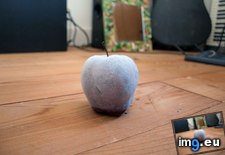 Tags: accidently, apple, left, out, overnight (Pict. in My r/MILDLYINTERESTING favs)