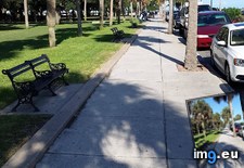 Tags: benches, covered, day, perfectly, shade, time (Pict. in My r/MILDLYINTERESTING favs)