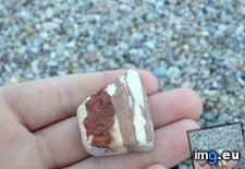 Tags: bacon, beach, italy, rock (Pict. in My r/MILDLYINTERESTING favs)