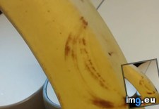 Tags: banana (Pict. in My r/MILDLYINTERESTING favs)