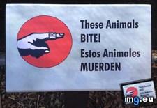 Tags: animal, bitten, lot, sounds, spanish (Pict. in My r/MILDLYINTERESTING favs)