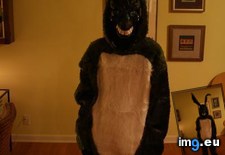 Tags: costumes, helped, son, years (Pict. in My r/MILDLYINTERESTING favs)