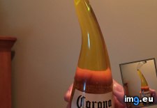 Tags: bottle, corona, living, lot, mexico (Pict. in My r/MILDLYINTERESTING favs)