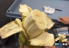 Tags: added, banana, double, for, regular, scale (Pict. in My r/MILDLYINTERESTING favs)