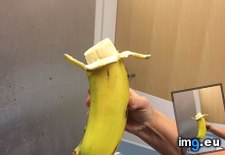 Tags: added, banana, double, for, regular, scale (Pict. in My r/MILDLYINTERESTING favs)