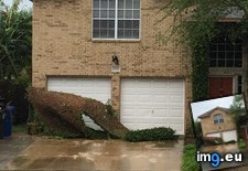 Tags: due, house, neighbor, peeled, south, storm, texas, vine (Pict. in My r/MILDLYINTERESTING favs)