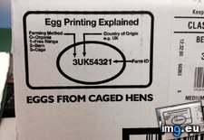 Tags: eggs (Pict. in My r/MILDLYINTERESTING favs)