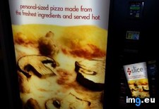 Tags: facebook, florida, friend, hotel, machine, pizza, vending (Pict. in My r/MILDLYINTERESTING favs)