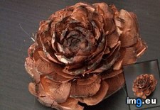 Tags: cone, flower, pine, wooden (Pict. in My r/MILDLYINTERESTING favs)