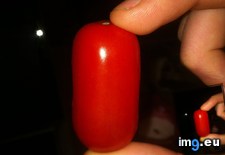 Tags: day, pill, shaped, sided, straight, tomato (Pict. in My r/MILDLYINTERESTING favs)