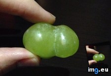 Tags: fused, grape (Pict. in My r/MILDLYINTERESTING favs)