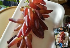 Tags: chili, fingers, grapes, peppers, shaped, witches (Pict. in My r/MILDLYINTERESTING favs)
