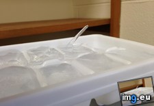 Tags: boner, cube, did, get, how, ice, tiny (Pict. in My r/MILDLYINTERESTING favs)