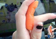 Tags: carrot, finger (Pict. in My r/MILDLYINTERESTING favs)