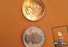 Tags: golden, quarter, work (Pict. in My r/MILDLYINTERESTING favs)
