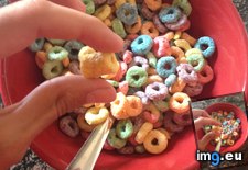 Tags: breakfast, froot, loop, morning, thick (Pict. in My r/MILDLYINTERESTING favs)