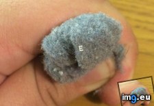 Tags: dryer, lint (Pict. in My r/MILDLYINTERESTING favs)