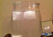 Tags: cubes, floated, ice, one, put, sank, two, water (Pict. in My r/MILDLYINTERESTING favs)