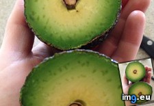 Tags: avocado, cut, pit, smallest (Pict. in My r/MILDLYINTERESTING favs)