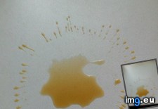 Tags: coffee, interesting, mildly, pattern, spilled (Pict. in My r/MILDLYINTERESTING favs)